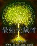 最强天赋树顶点 最强天赋树顶点