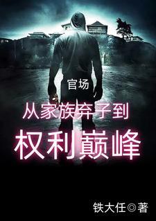 家族弃子官场类 家族弃子官场类