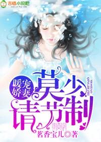 暖婚强宠慕少的掌心宝免费阅读 暖婚强宠慕少的掌心宝免费阅读