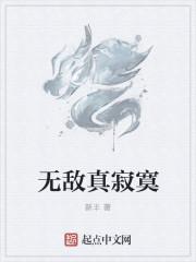 无敌真寂寞TXT奇书网 无敌真寂寞TXT奇书网