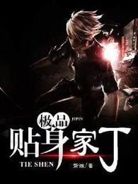 极品贴身家丁全文免费阅读