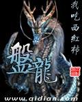 盘龙七片用法用量