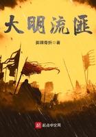 大明流匪txt电子书 大明流匪txt电子书