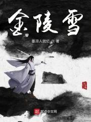 金陵雪别爱无恙 金陵雪别爱无恙
