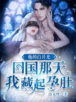 他的白月光回国那天,我藏起孕肚 他的白月光回国那天,我藏起孕肚