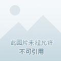 重生之华丽逆袭 重生之华丽逆袭