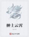 翀上云霄 翀上云霄