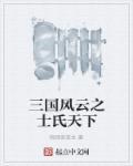 三国风云之士氏天下 三国风云之士氏天下