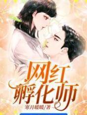 网红孵化师 网红孵化师