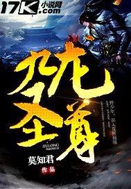 九龙圣尊 九龙圣尊