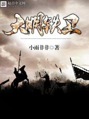大明铁卫 大明铁卫